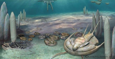 Cambrian Explosion